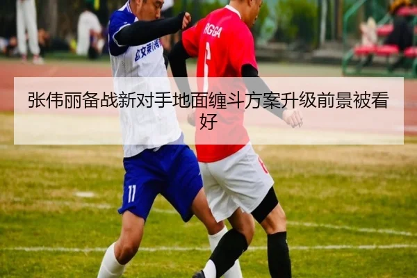 张伟丽备战新对手地面缠斗方案升级前景被看好